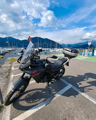 transalp 2023