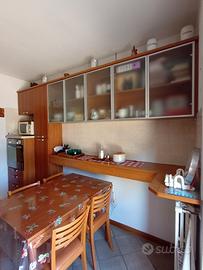 CUCINA CON ELETTRODOMESTICI 