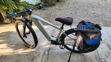 e-bike Oli edge
