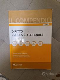 Compendio Diritto Processuale Penale Giuffrè 2023