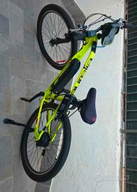 Bicicletta elettrica pedalata assistita