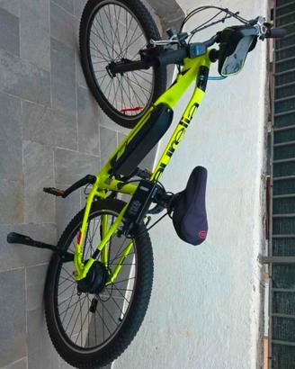 Bicicletta elettrica pedalata assistita