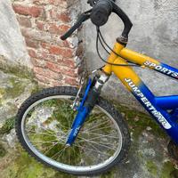 Bici da montagna