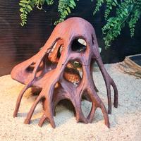 tronco decorazione terrario teca acquario