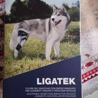 BALTO TUTORE CON SNODO GRADUATO