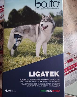 BALTO TUTORE CON SNODO GRADUATO