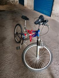 Biciclette misura 24