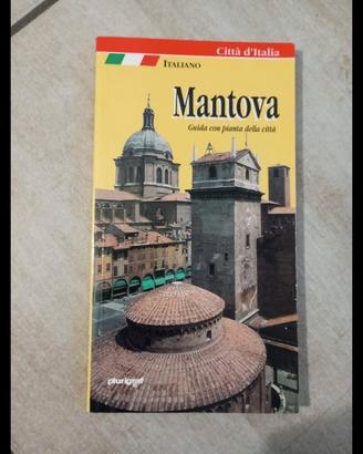 Libro: guida turistica su Mantova 