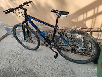 Bicicletta Schiano