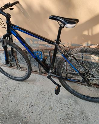 Bicicletta Schiano