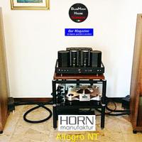 Hornmanufaktur-Diffusori -Allegro NT
