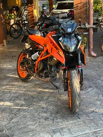 Duke 390 2024