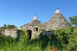 Trulli a Martina Franca