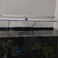 Plafoniere Gnc blu ray pro acquario marino coralli