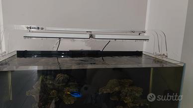 Plafoniere Gnc blu ray pro acquario marino coralli