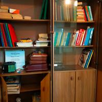 Libreria in legno e vetro