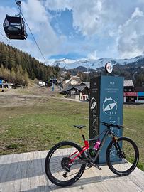 Orbea oiz 