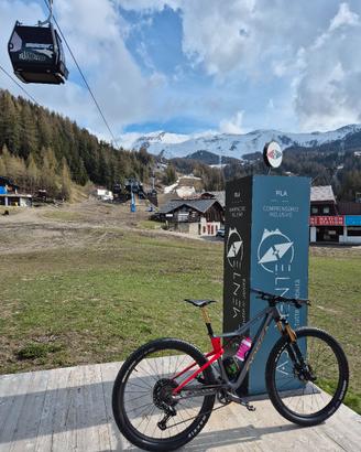 Orbea oiz 
