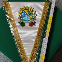 Gagliardetto scudetto