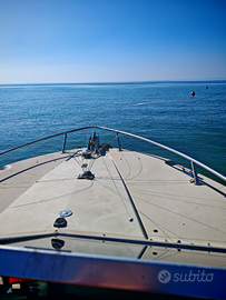 2 Dissuasori gabbiani e uccelli