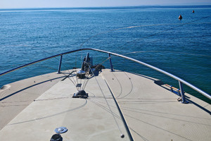 2 Dissuasori gabbiani e uccelli