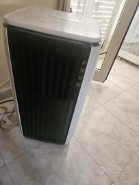 condizionatore mobile