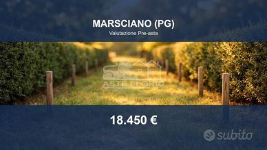 Immobile in asta di 2220 m² a Marsciano