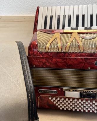 Fisarmonica 96 bassi