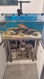 acquario marino completo di tutto