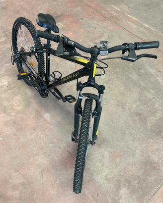 mtb bimbo