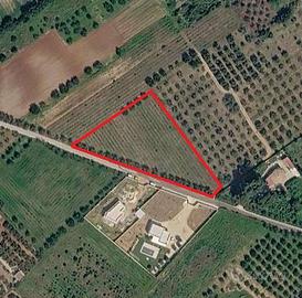 Terreno Edificabile a Marsala