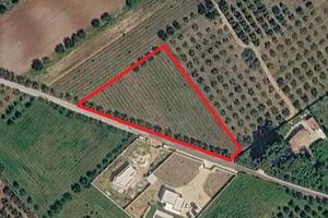 Terreno Edificabile a Marsala