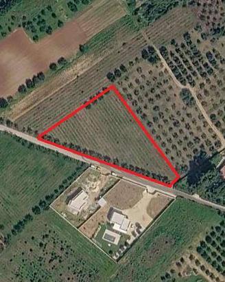 Terreno Edificabile a Marsala