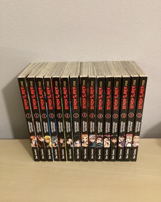 Lotto manga Demon Slayer - Volumi 1-15