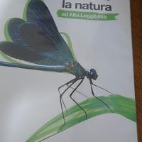 Scopriamo la natura 