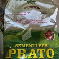Sementi prato