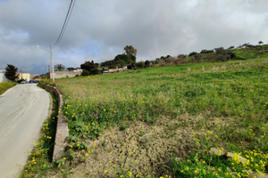 Terreno edificabile vicino strada