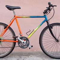 Bici Mountain bike 