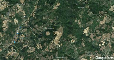 TREDOZIO - Bosco castagneto e conifere 17,5 ettari