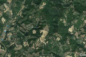 TREDOZIO - Bosco castagneto e conifere 17,5 ettari