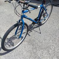 biciclette economiche