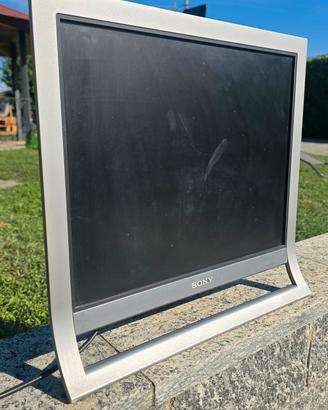 monitor 19 pollici serie SDM HS