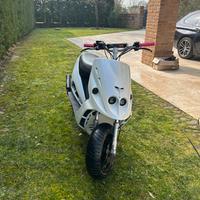 malaguti phantom f12