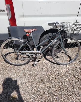 Bicicletta da uomo