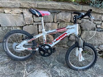 Bicicletta da bambino 16