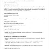 Babysitter/badante/segretaria