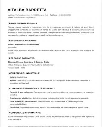 Babysitter/badante/segretaria