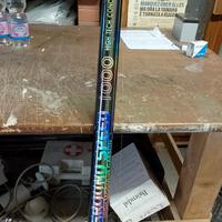 canna da pesca 10 metri