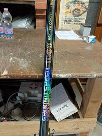 canna da pesca 10 metri