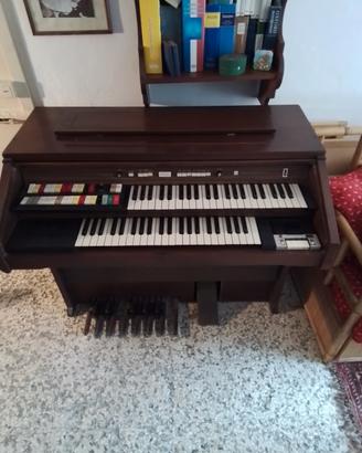 Organo Hammond